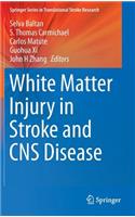 White Matter Injury in Stroke and CNS Disease