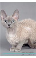 Devon Rex Affirmations Workbook Devon Rex Presents: Positive and Loving Affirmations Workbook. Includes: Mentoring Questions, Guidance, Supporting You.: Positive and Loving Affirmations Workbook. Includes: Mentoring Questions, Guidance, Supporting You.