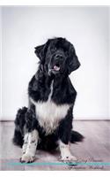 Newfoundland Dog Affirmations Workbook Newfoundland Dog Presents: Positive and Loving Affirmations Workbook. Includes: Mentoring Questions, Guidance, Supporting You.