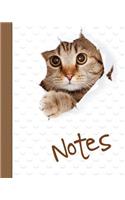 Cat Notebook, Notes, Jotter, Notebook, Lined Pages