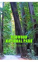 Redwood National Park: 150 page lined notebook