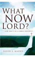What Now Lord?