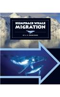 Humpback Whale Migration
