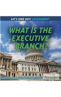 What Is the Executive Branch?