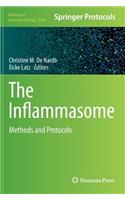 Inflammasome