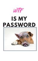 Wtf Is My Password