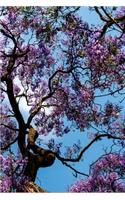Notebook Jacaranda: Enjoy-your-life/ Nature lovers(101 Enjoy-Your-Life/ Nature Lovers)