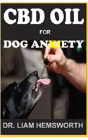 CBD Oil for Dog Anxiety