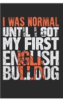 I Was Normal Until I Got My First English Bulldog