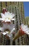 Cactus Journal