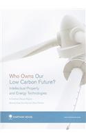 Who Owns Our Low Carbon Future?
