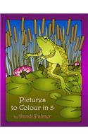 Pictures to Colour In 3