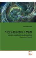 Pinning Disorders in MgB2