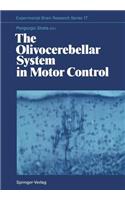 Olivocerebellar System in Motor Control