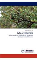Ectomycorrhiza