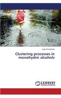 Clustering processes in monohydric alcohols