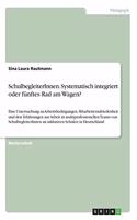 SchulbegleiterInnen. Systematisch integriert oder fünftes Rad am Wagen?: Eine Untersuchung zu Arbeitsbedingungen, Mitarbeiterzufriedenheit und den Erfahrungen zur Arbeit in multiprofessionellen Teams von SchulbegleiterInn