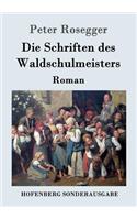 Die Schriften des Waldschulmeisters: Roman(German)