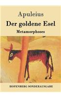 goldene Esel