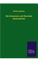 Schnecken Und Muscheln Deutschlands