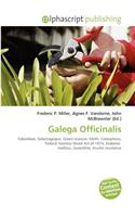 Galega Officinalis: (English)