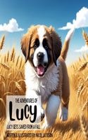 The Adventures of Lucy