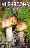 Mushrooms Calendar 2021