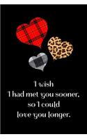 I Wish I Had Met You Sooner, So I Could Love You Longer