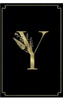 Y