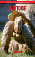 Tortoise: Fun Facts and Amazing Pictures