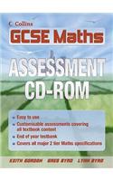 GCSE Maths Assessment CD-ROM
