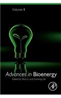 Advances in Bioenergy