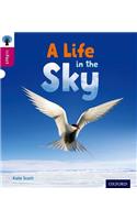 Oxford Reading Tree inFact: Level 10: A Life in the Sky