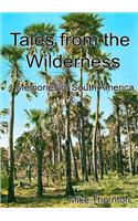 Tales from the Wilderness