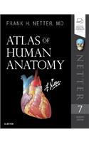 Atlas of Human Anatomy: (Netter Basic Science)