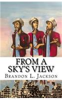 From A Sky's View