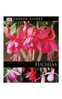 Fuchsias