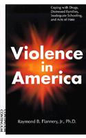 Violence in America