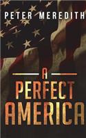 Perfect America