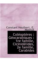 Col Opt Res: G Ocarabiques: 1re Famille, Cicinid Lides, 2e Famille, Carabides