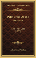 Palm Trees of the Amazon: And Their Uses (1853)