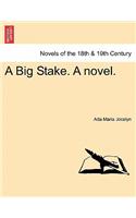 Big Stake. a Novel.