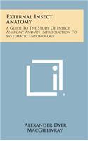 External Insect Anatomy
