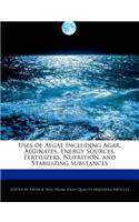 Uses of Algae Including Agar, Alginates, Energy Sources, Fertilizers, Nutrition, and Stabilizing Substances