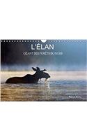 L'Elan - Geant Des Forets Du Nord 2017