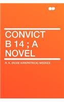 Convict B 14; A Novel