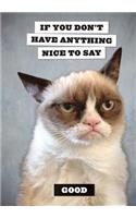 Grumpy Cat Flexi Journal