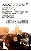 Arab Spring in Egypt, Revolution or Chaos