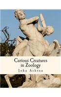 Curious Creatures in Zoology: With 130 Illustrations throughout the Text