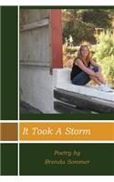 It Took a Storm